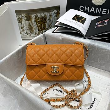 Chanel Classic Double Classic Caviar Calfskin In Brown Size 20cm