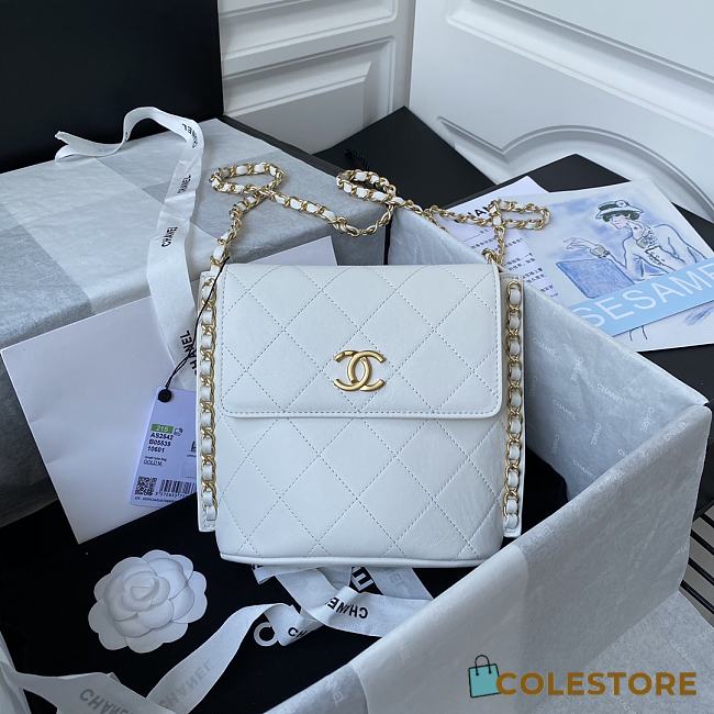 Chanel Hobo Bag Calfskin Gold-tone Metal AS2542 Size 23X25.5X8cm - 1