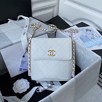 Chanel Hobo Bag Calfskin Gold-tone Metal AS2542 Size 23X25.5X8cm