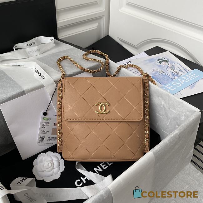 Chanel Hobo Bag Calfskin Gold-tone Metal in Brown AS2542 Size 23X25.5X8cm - 1