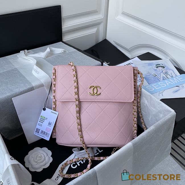 Chanel Hobo Bag Calfskin Gold-tone Metal in Pink AS2542 Size 23X25.5X8cm - 1