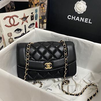 Chanel Sac A Main Diana Princess In Black AS1488 Size 23x14x7cm