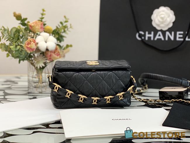 Chanel Hobo Bag 2021 Size 13x19x7cm - 1