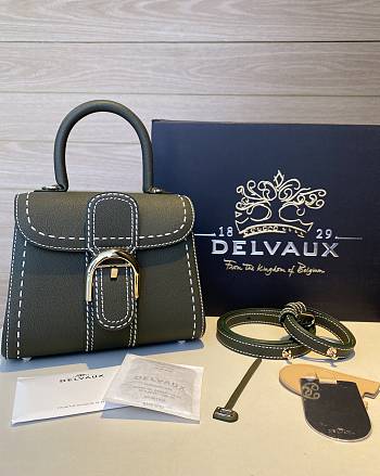 Delvaux Brilliant MM Surpique In Rodeo Calf Size 20x12x15cm