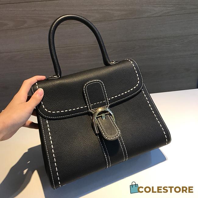 Delvaux Brilliant MM Surpique In Rodeo Calf Size 20x15x10cm - 1