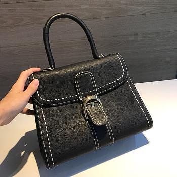 Delvaux Brilliant MM Surpique In Rodeo Calf Size 20x15x10cm