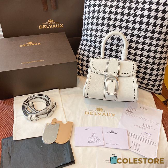 Delvaux Brilliant MM Surpique In White Rodeo Calf Size 20x12x15cm - 1