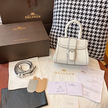 Delvaux Brilliant MM Surpique In White Rodeo Calf Size 20x12x15cm
