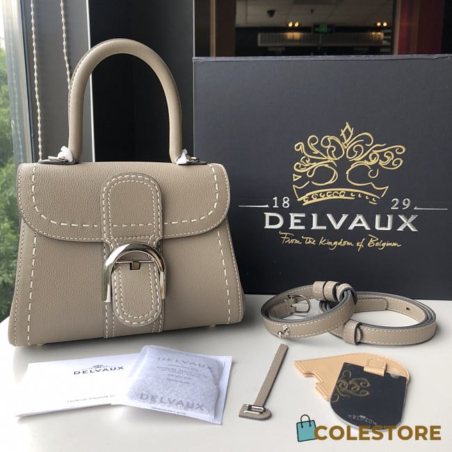 Delvaux Brilliant MM Surpique In Grey Rodeo Calf Size 20x12x15cm - 1