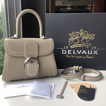 Delvaux Brilliant MM Surpique In Grey Rodeo Calf Size 20x12x15cm