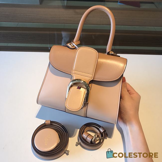 Delvaux Brilliant Mini Box Calf Size 20x12x15cm - 1
