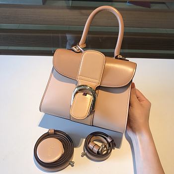 Delvaux Brilliant Mini Box Calf Size 20x12x15cm