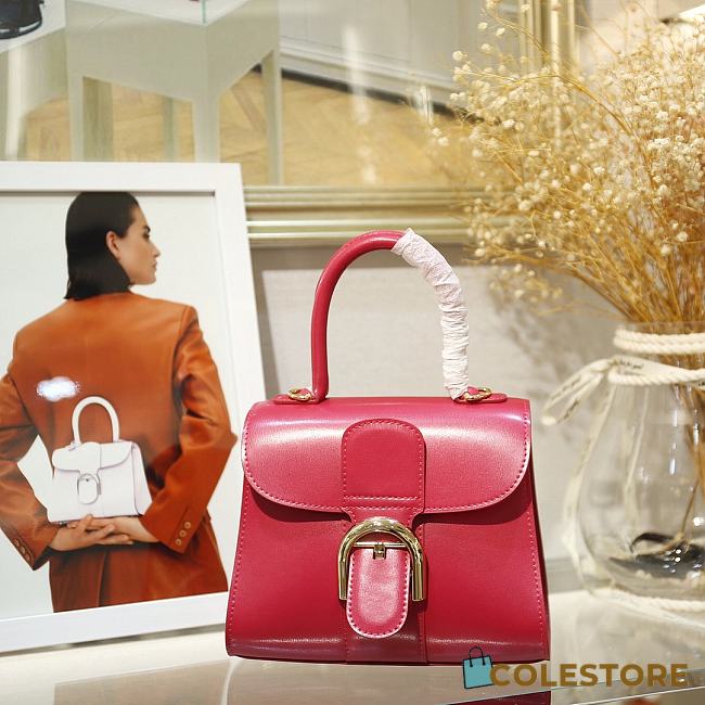 Delvaux Brilliant Mini In Red Box Calf Size 20x12x15cm - 1