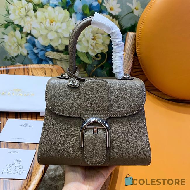 Delvaux Brilliant Mini In Grey Box Calf Size 20x12x15cm - 1