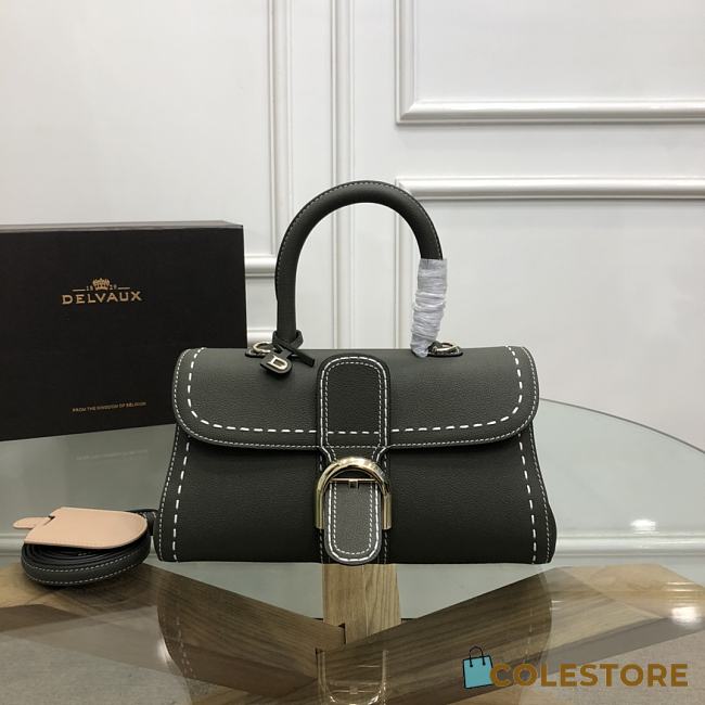 Delvaux Brilliant East/West Mini Surpique Size 28x10x16cm - 1