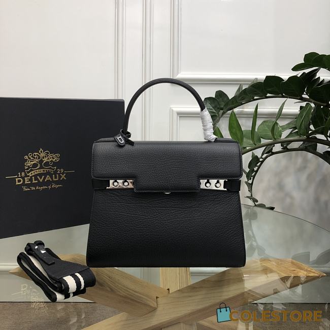 Delvaux Tempête Small Camaïeuin Box Calf Size 28x11x22cm - 1