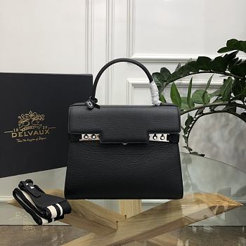 Delvaux Tempête Small Camaïeuin Box Calf Size 28x11x22cm
