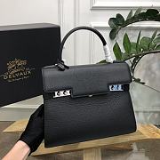 Delvaux Tempête Small Camaïeuin Box Calf Size 28x11x22cm - 5