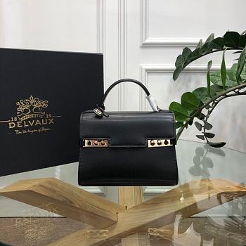 Delvaux Tempête Small Camaïeuin Box Calf Size 20cm
