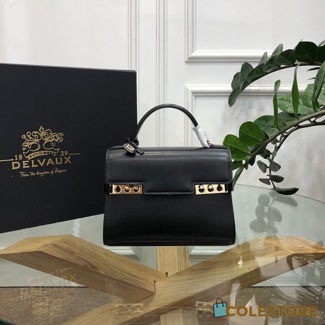 Delvaux Tempête Small Camaïeuin Box Calf Size 26cm - 1