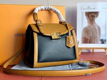 Louis Vuitton Arch Top Handle Bag M55335 Size 22x20x13cm