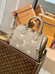 Louis Vuitton Grey&White Monogram Empreinte 25cm - 1