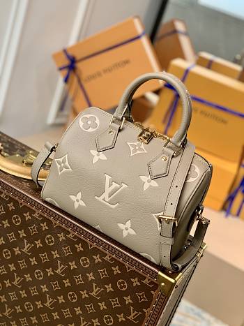 Louis Vuitton Grey&White Monogram Empreinte 25cm