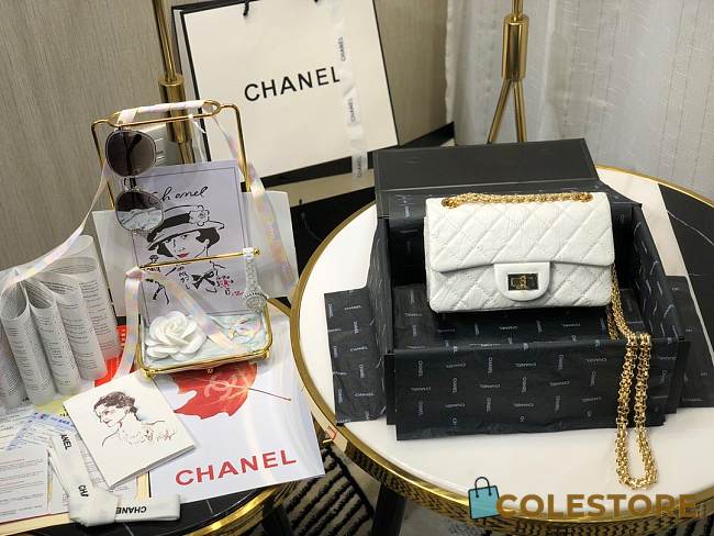Chanel 2.55 Mini Bag AS0874 Size 20cm - 1