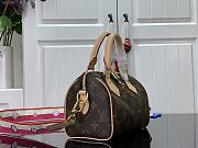 Louis Vuitton Speedy Bandoulière With Pink Strap20 M41112 20cm  - 4