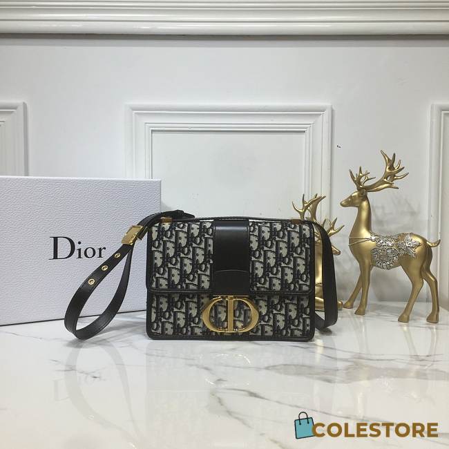 Dior 30 Montaigne Chain Bag In Blue Oblique M9208 Size 24×17×8cm - 1