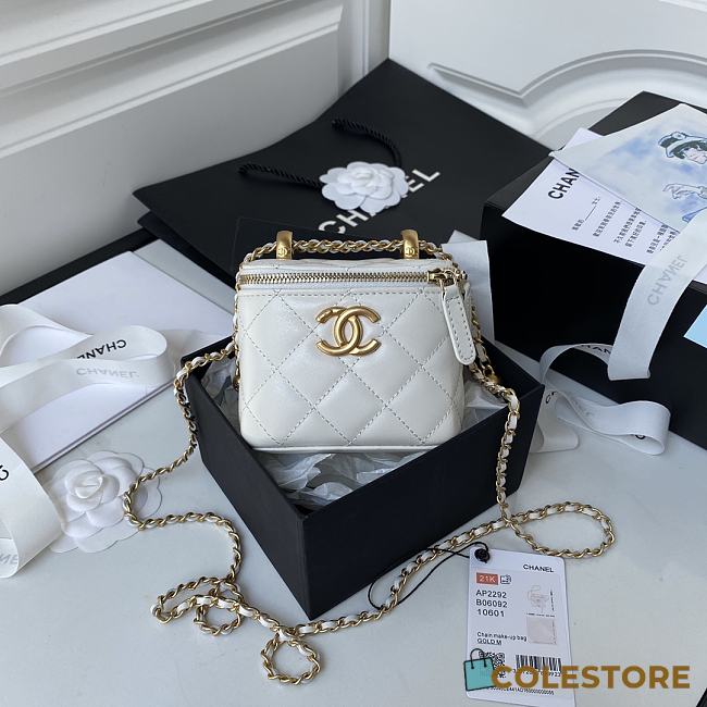 Chanel Small Classic Box 20 In White - 1