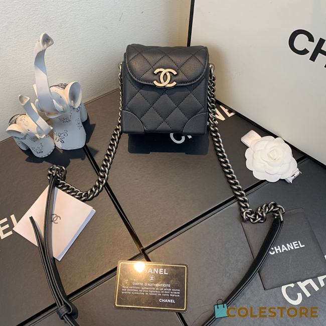Chanel Mini Case Crossbody Bag in Black AS1169 Size 19x12x9cm - 1