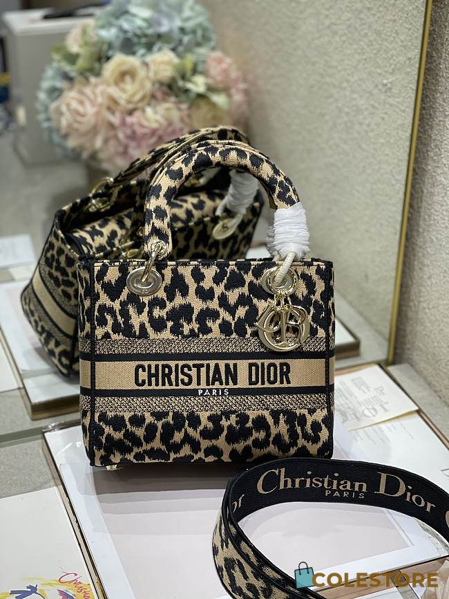 Dior Lady Dior D lite Mizza Embroidery M0565 Size 24cm - 1