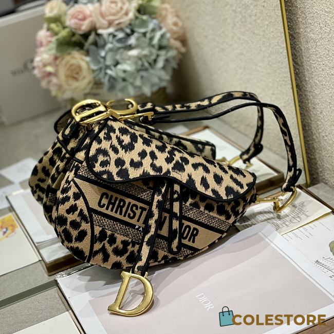 Dior Saddle Multicolor Mizza Embroidery M0446 Size 25cm - 1