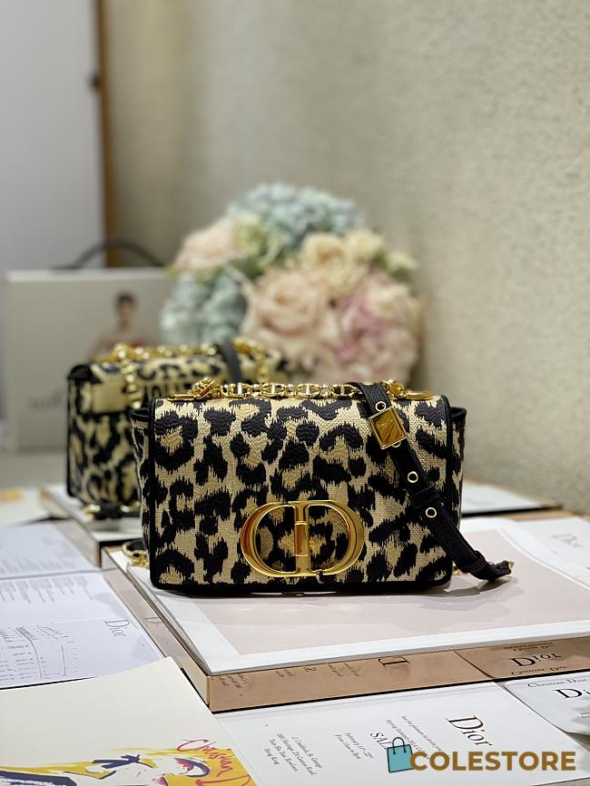 Dior Mini Caro Multicolor Mizza Embroidery M9242 Size 20cm - 1