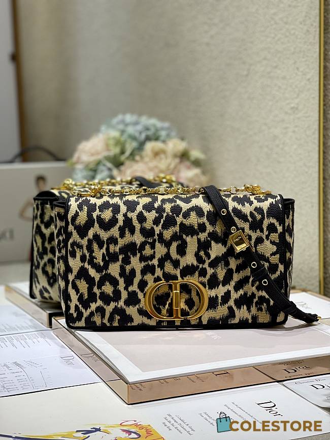 Dior Medium Caro Multicolor Mizza Embroidery M9242 Size 28cm - 1