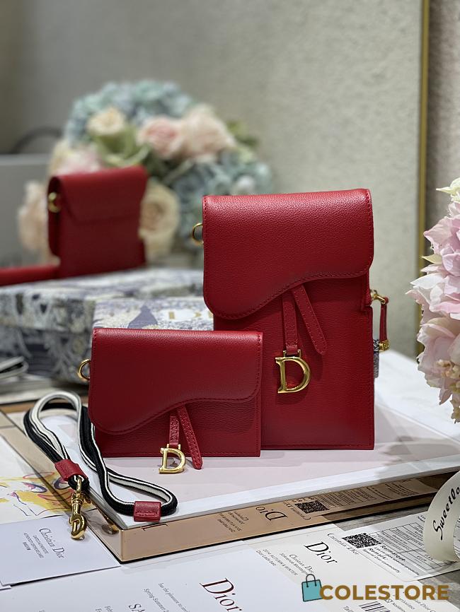 Dior Vertical Saddle Pouch S5641  - 1
