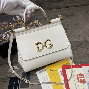 Dolce & Gabbana Sicily Print Logo Bag In White BB600 Size 25X20X12cm