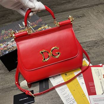 Dolce & Gabbana Sicily Print Logo Bag In Red BB600 Size 25X20X12cm