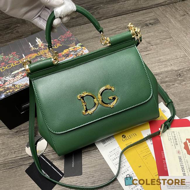 Dolce & Gabbana Sicily Print Logo Bag In Green BB600 Size 25X20X12cm - 1