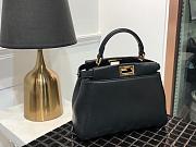 Fendi Mini Peekaboo Iconic Crossbody Bag In Black 8BN24 Size 23cm - 4