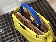 Fendi Mini Peekaboo Iconic Crossbody Bag In Yellow 8BN24 Size 23cm - 4