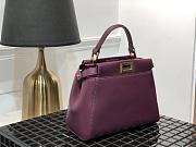 Fendi Mini Peekaboo Iconic Crossbody Bag In Wine 8BN24 Size 23cm - 5