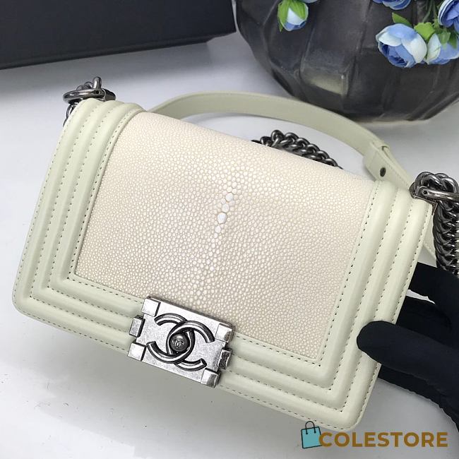 Chanel Classic In White Pearl Fish Leather With Silver Hardware 20cm - 1