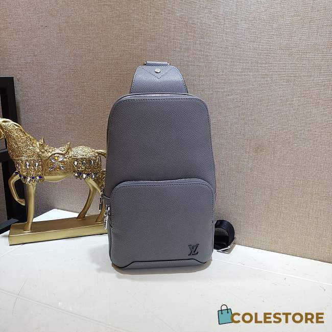 Louis Vuitton Avenue Sling Bag Grey Taiga Leather M30801 20cm - 1
