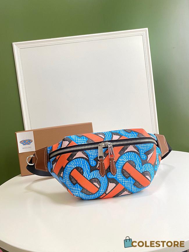 Burberry Vintage Print Canvas Belt Bag Size 31x7.5x16cm - 1
