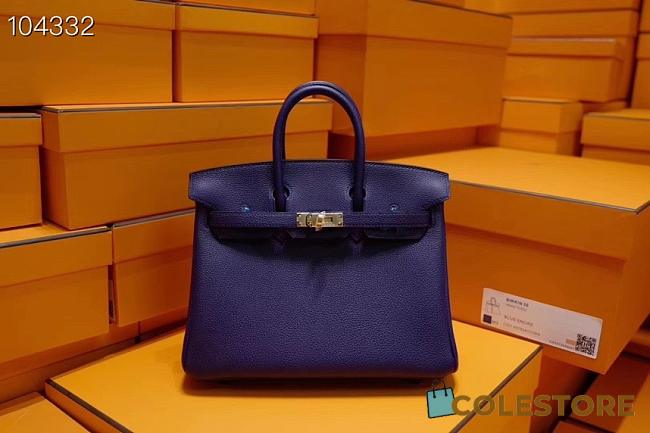 Hermes Birkin 25 In Purple - 1