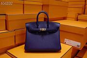 Hermes Birkin 25 In Purple - 1