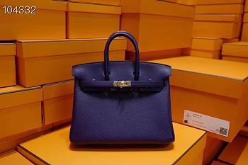 Hermes Birkin 25 In Purple