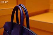 Hermes Birkin 25 In Purple - 6
